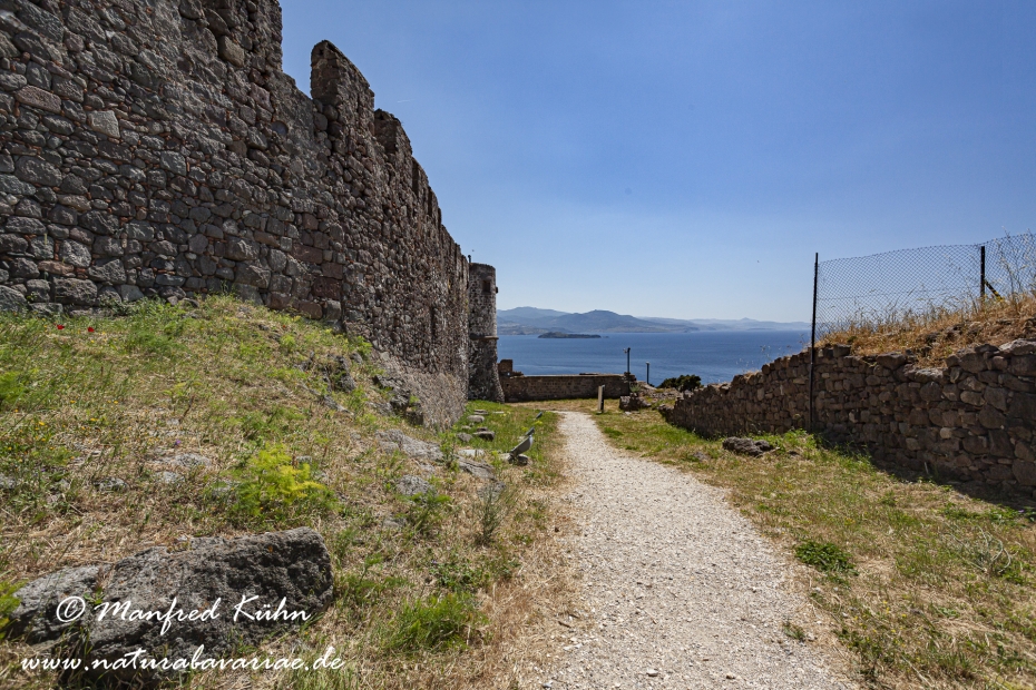 Lesbos (Griechenland)_0307