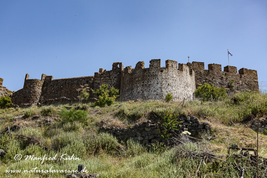 Lesbos (Griechenland)_0309