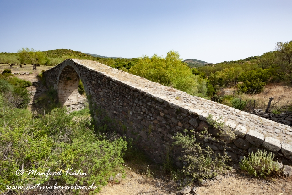 Lesbos (Griechenland)_0310