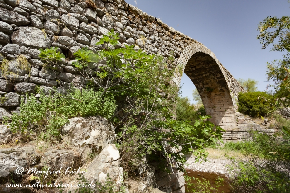 Lesbos (Griechenland)_0311