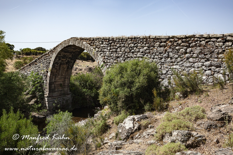 Lesbos (Griechenland)_0312