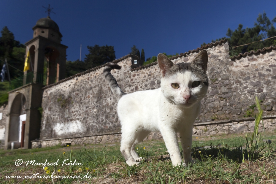 Lesbos (Griechenland)_0379