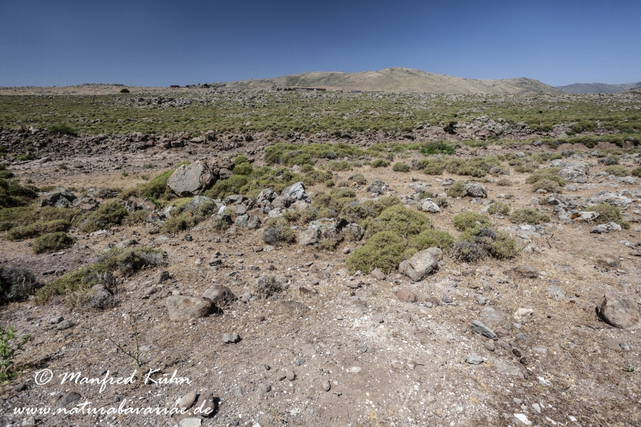 Lesbos (Griechenland)_0410