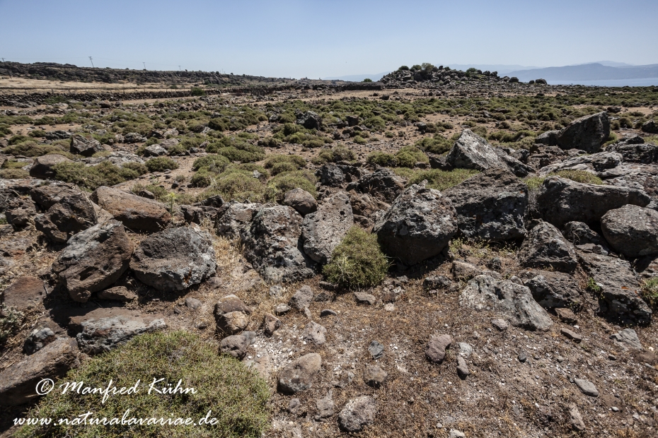 Lesbos (Griechenland)_0411