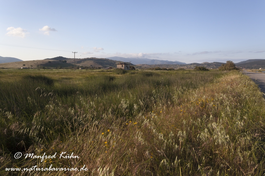 Lesbos (Griechenland)_0422