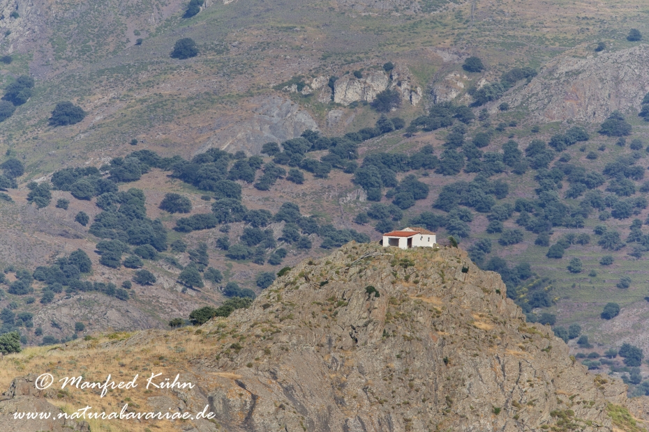 Lesbos (Griechenland)_0435