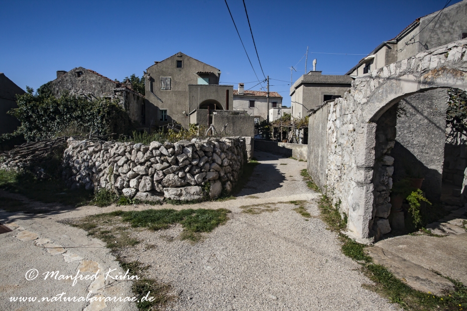 Cres (Kroatien)_0025