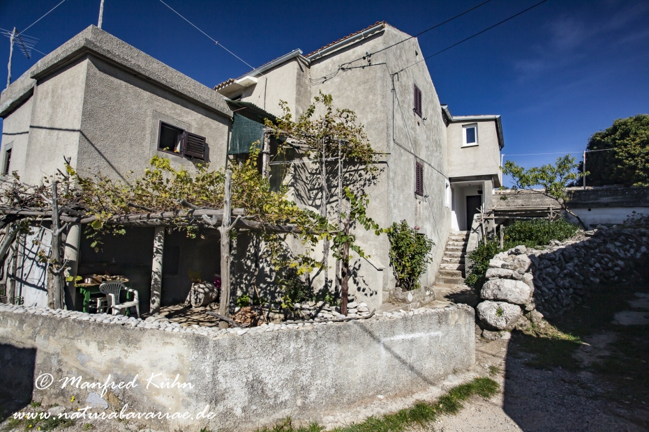 Cres (Kroatien)_0026