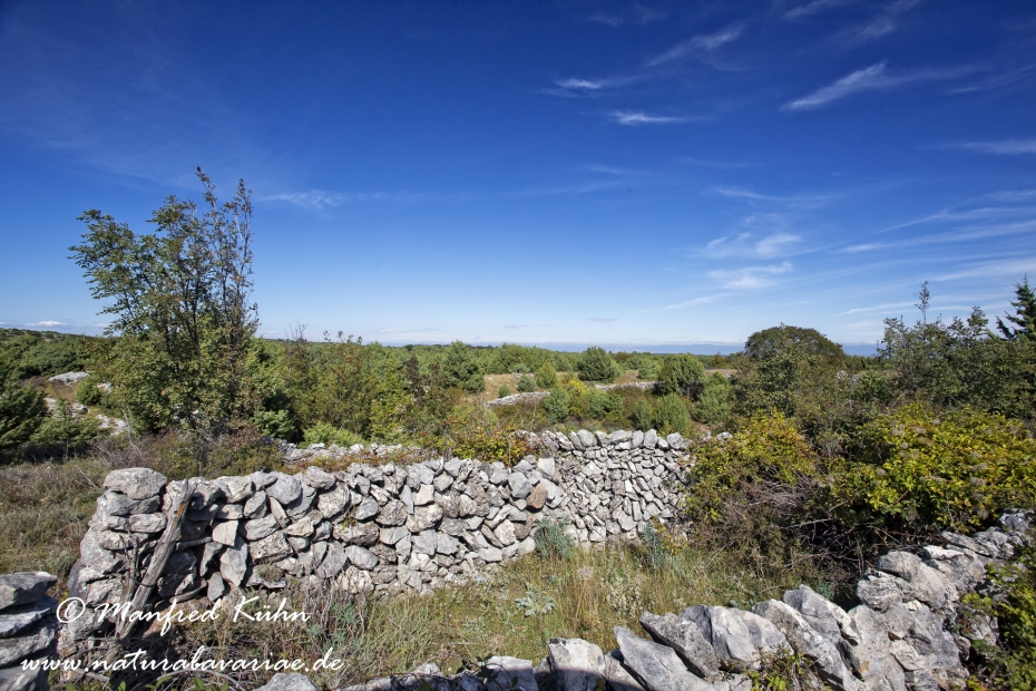 Cres (Kroatien)_0038