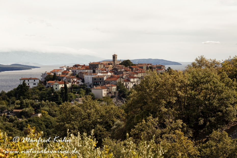 Cres (Kroatien)_0055