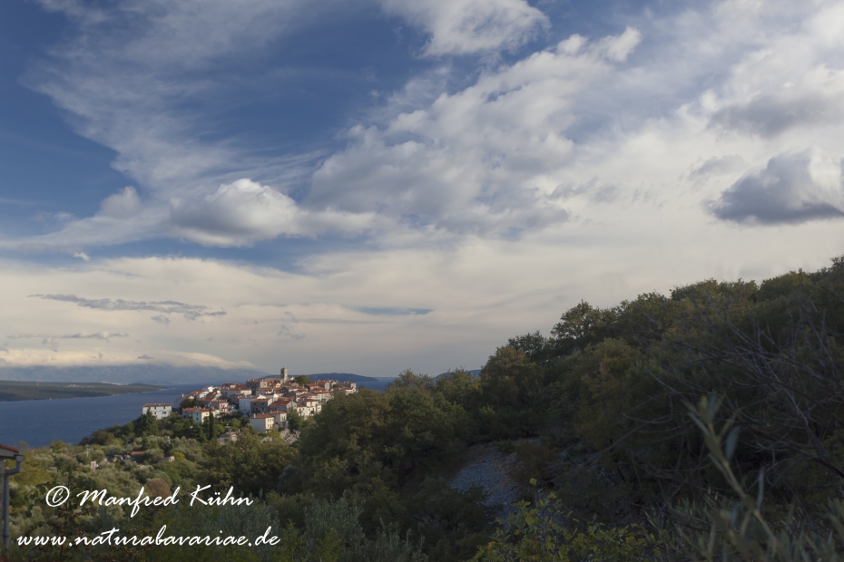Cres (Kroatien)_0057