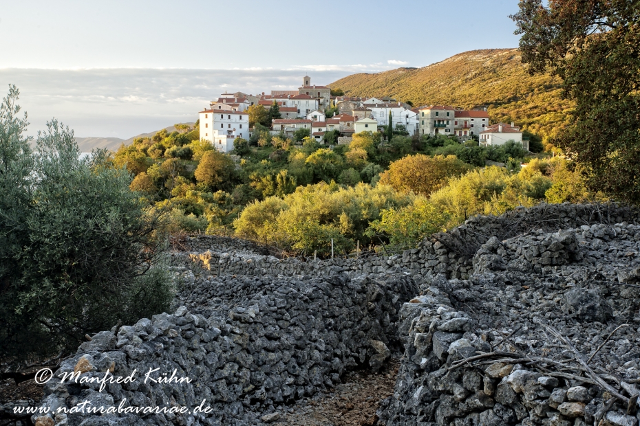 Cres (Kroatien)_0076