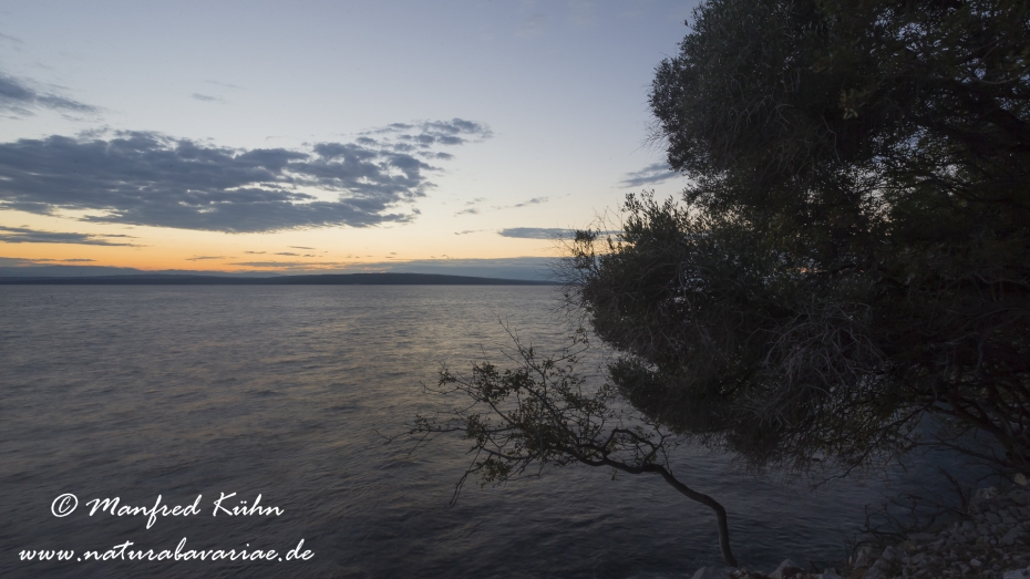 Cres (Kroatien)_0117