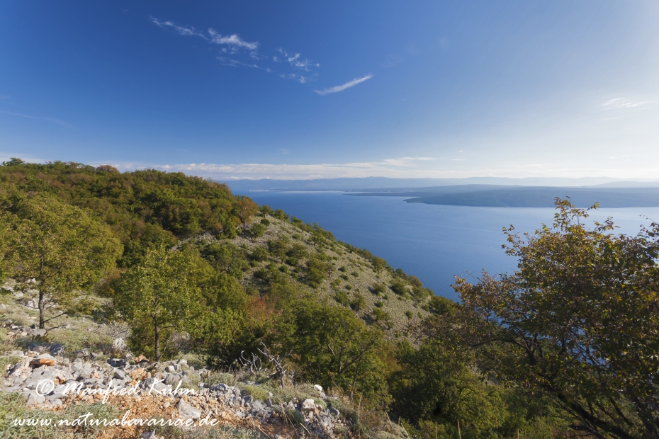 Cres (Kroatien)_0120