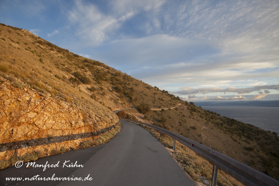 Cres (Kroatien)_0123