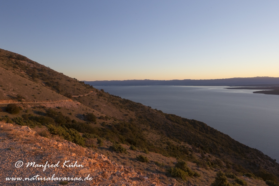 Cres (Kroatien)_0125