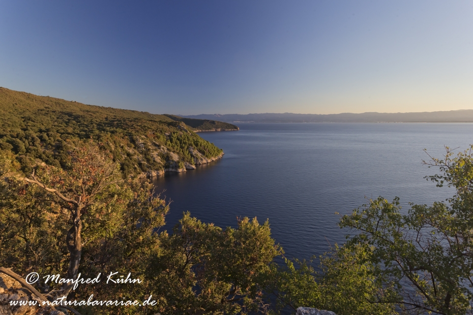 Cres (Kroatien)_0128