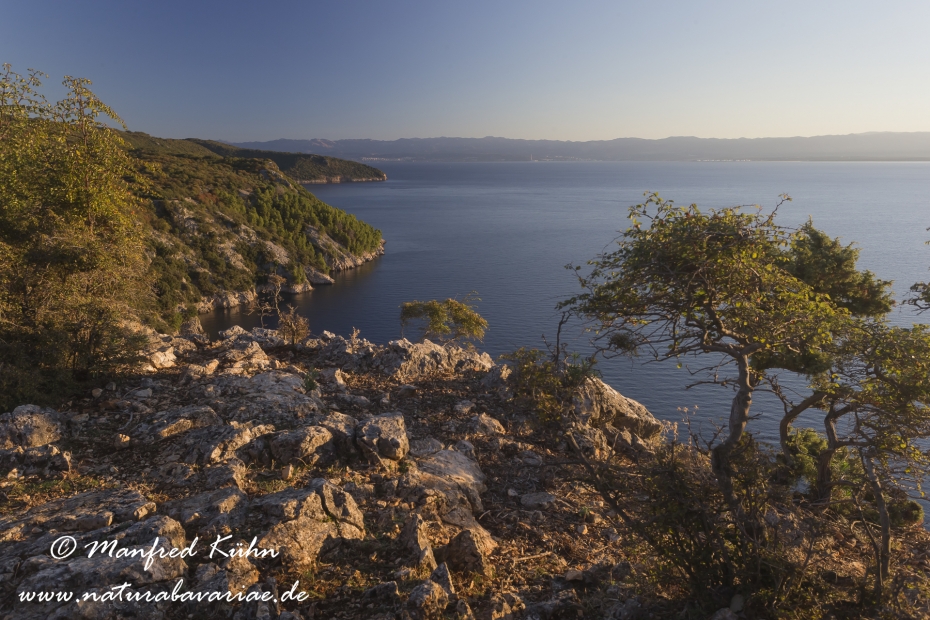 Cres (Kroatien)_0133
