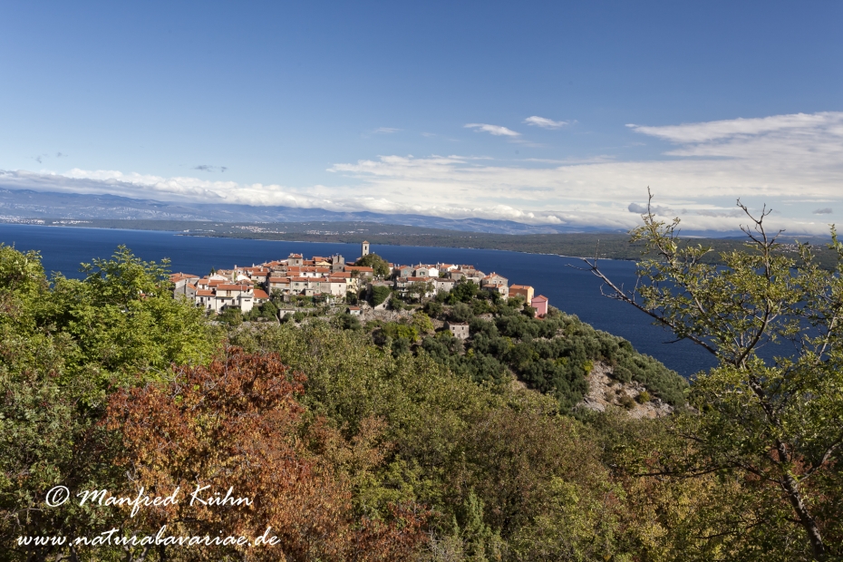 Cres (Kroatien)_0166