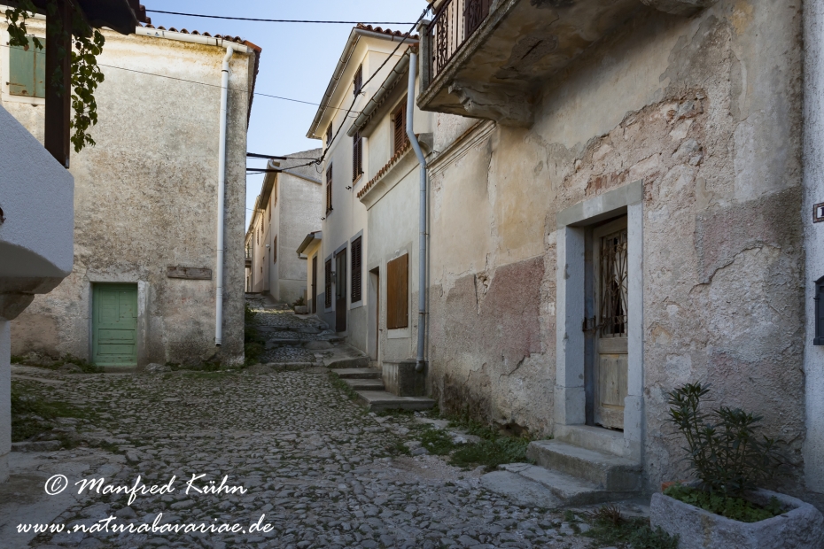 Cres (Kroatien)_0171
