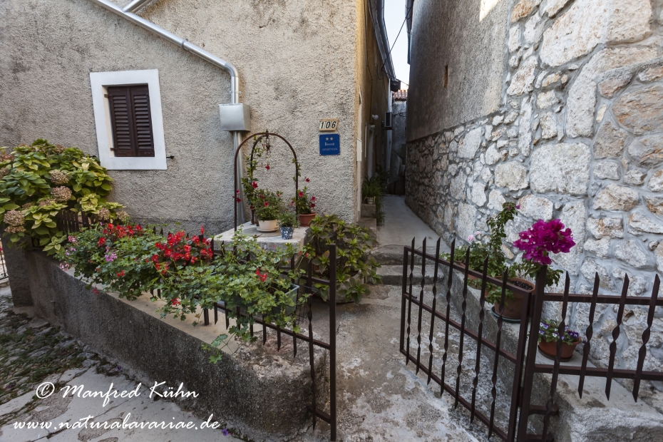 Cres (Kroatien)_0178