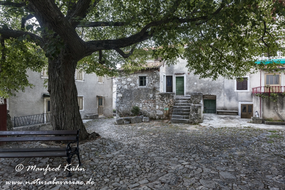 Cres (Kroatien)_0195