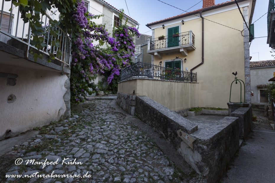 Cres (Kroatien)_0198