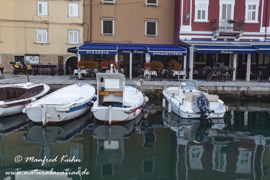 Cres (Kroatien)_0206