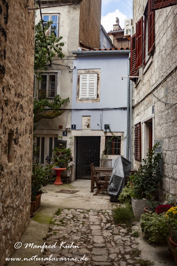 Cres (Kroatien)_0220