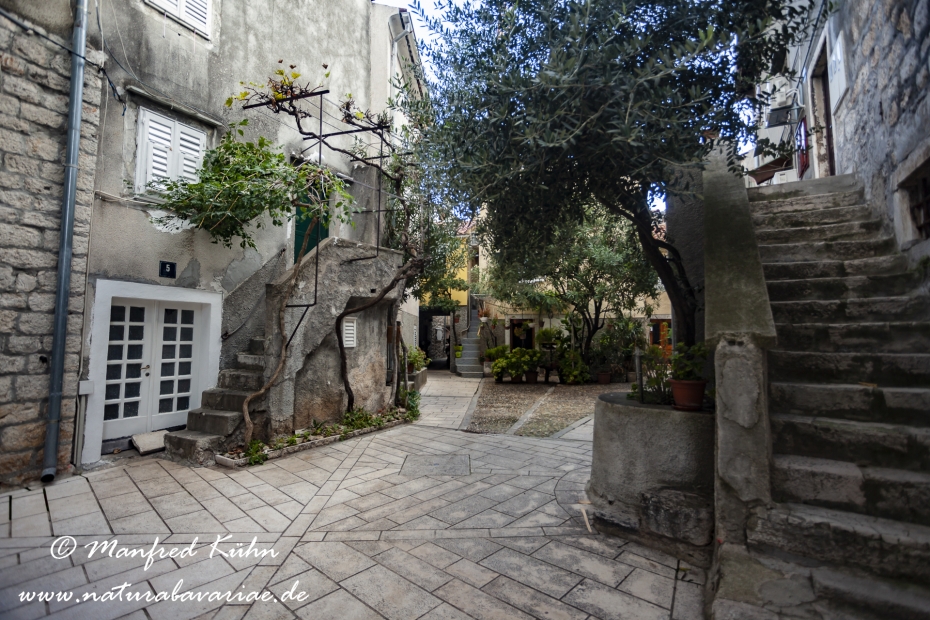 Cres (Kroatien)_0227