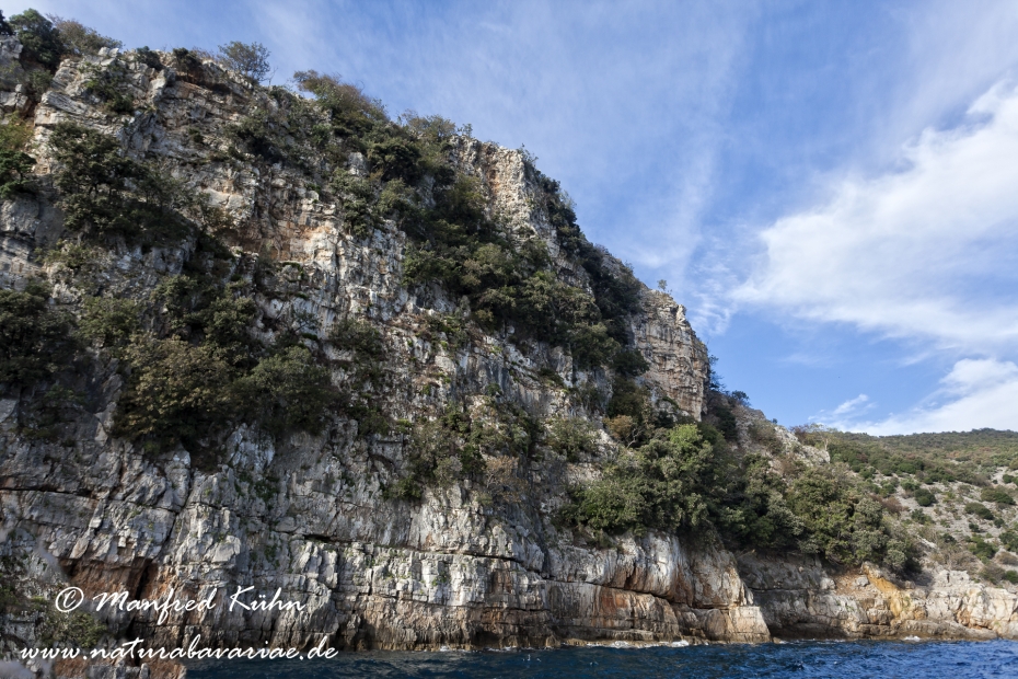 Cres (Kroatien)_0262