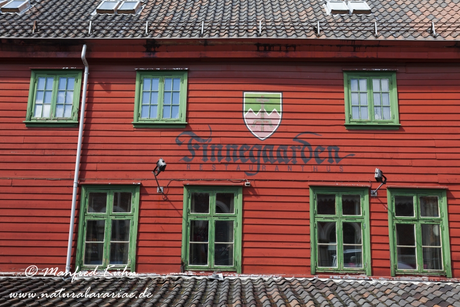 Bergen (Norwegen)_0040