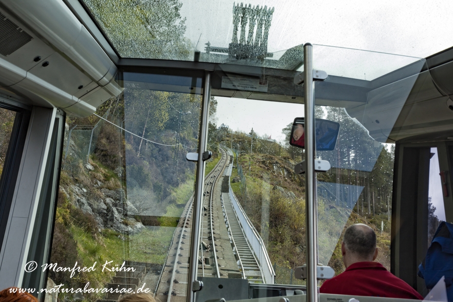 Bergen (Norwegen)_0060