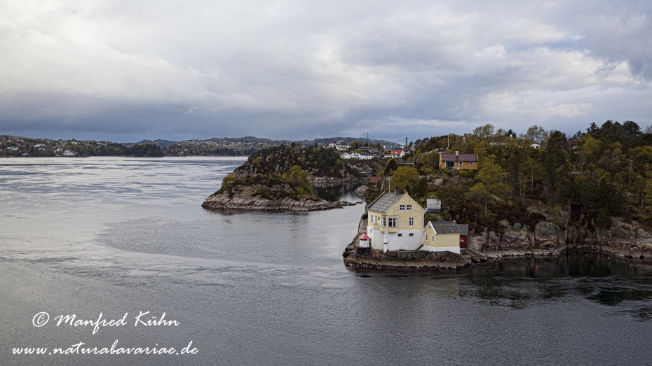 Bergenfjord (Norwegen)_0087