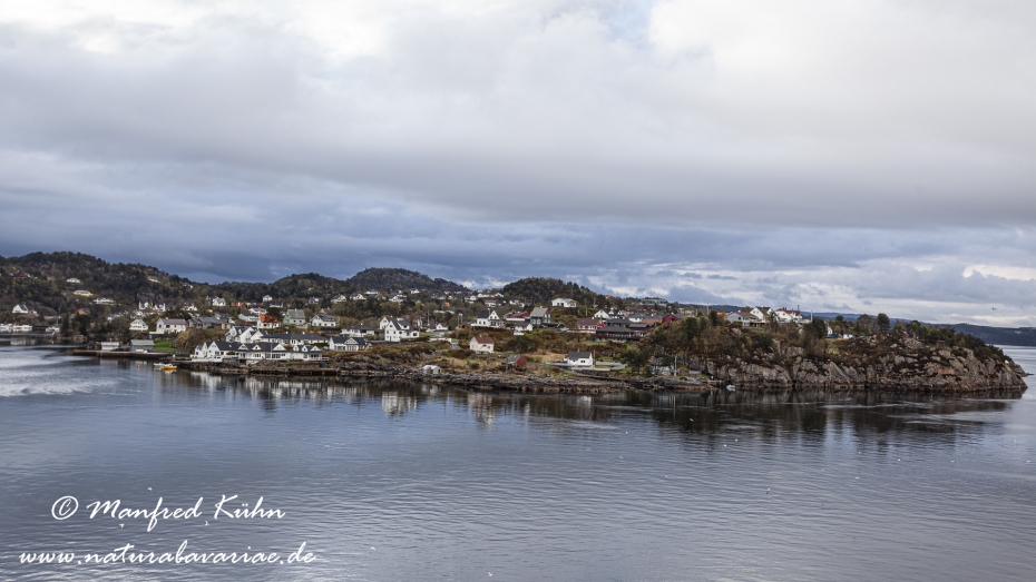 Bergenfjord (Norwegen)_0089
