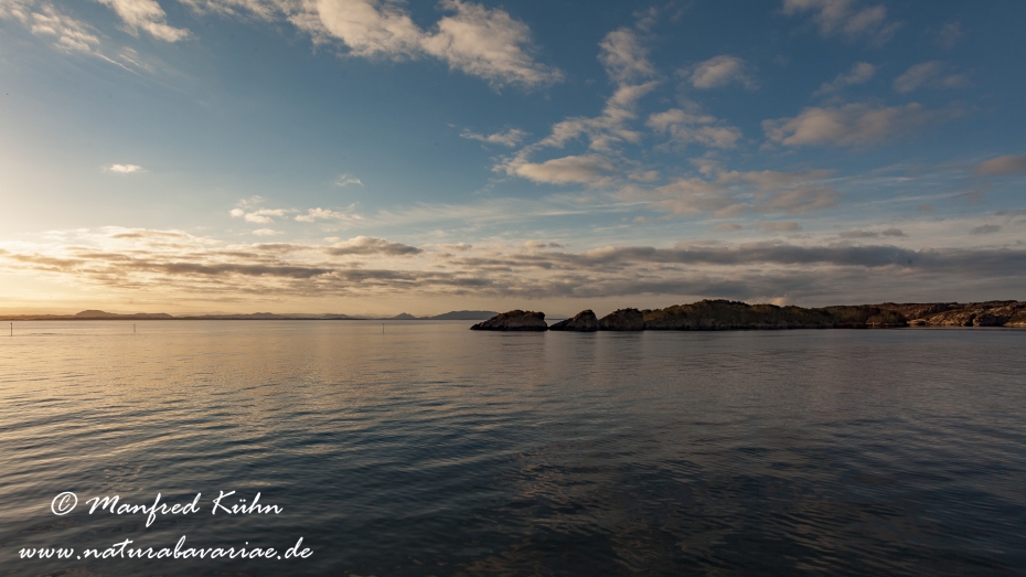 Bergenfjord (Norwegen)_0090