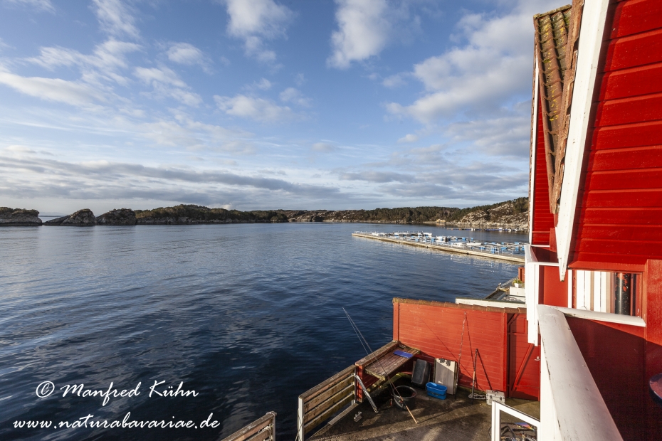 Bergenfjord (Norwegen)_0091