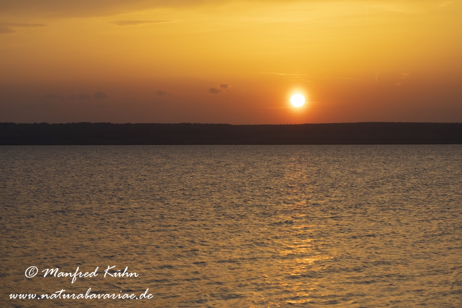 Neusiedler See (Österreich)_0040