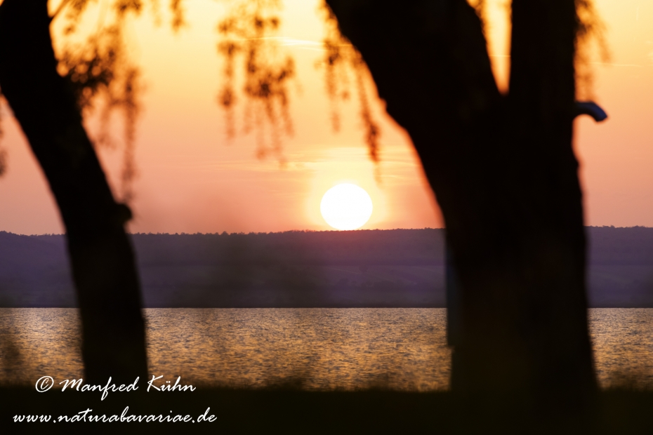 Neusiedler See (Österreich)_0041