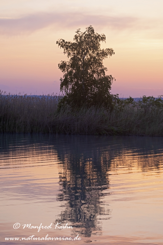 Neusiedler See (Österreich)_0042