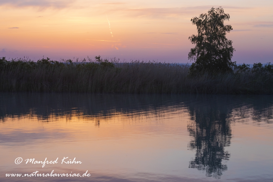Neusiedler See (Österreich)_0043