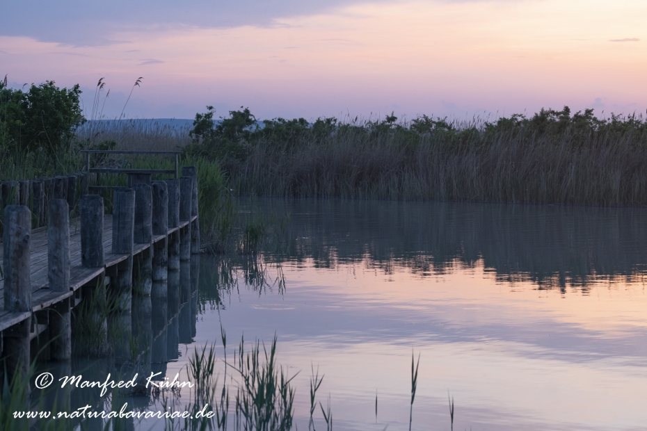 Neusiedler See (Österreich)_0044