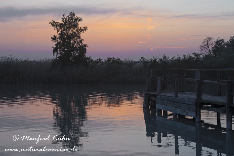Neusiedler See (Österreich)_0047