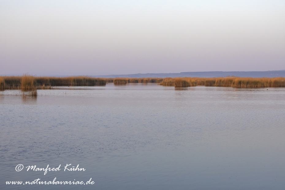 Neusiedler See (Österreich)_0049