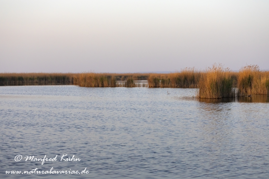 Neusiedler See (Österreich)_0051