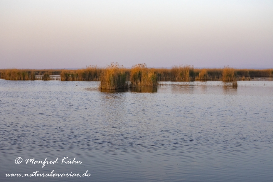 Neusiedler See (Österreich)_0052