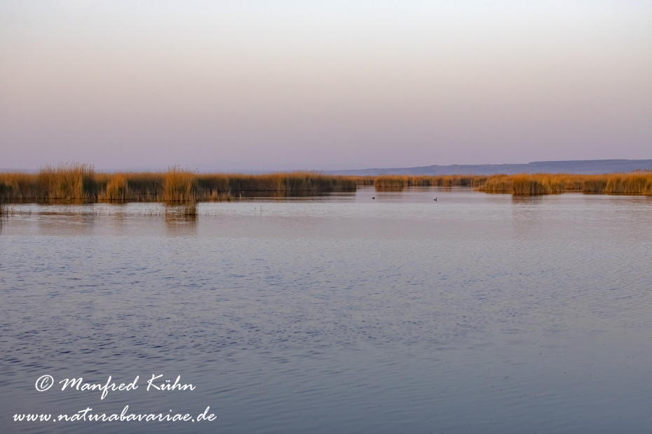Neusiedler See (Österreich)_0053