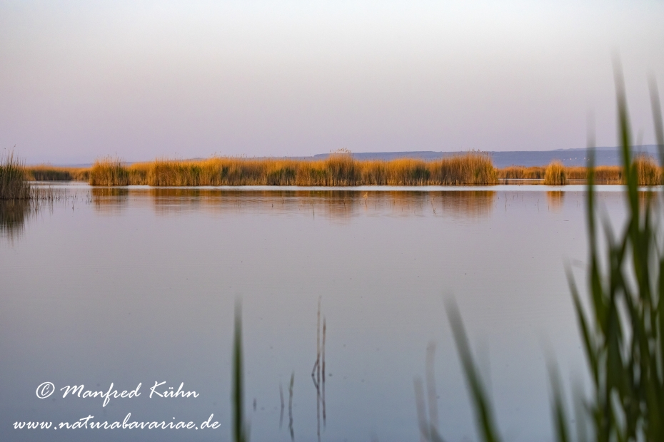 Neusiedler See (Österreich)_0055