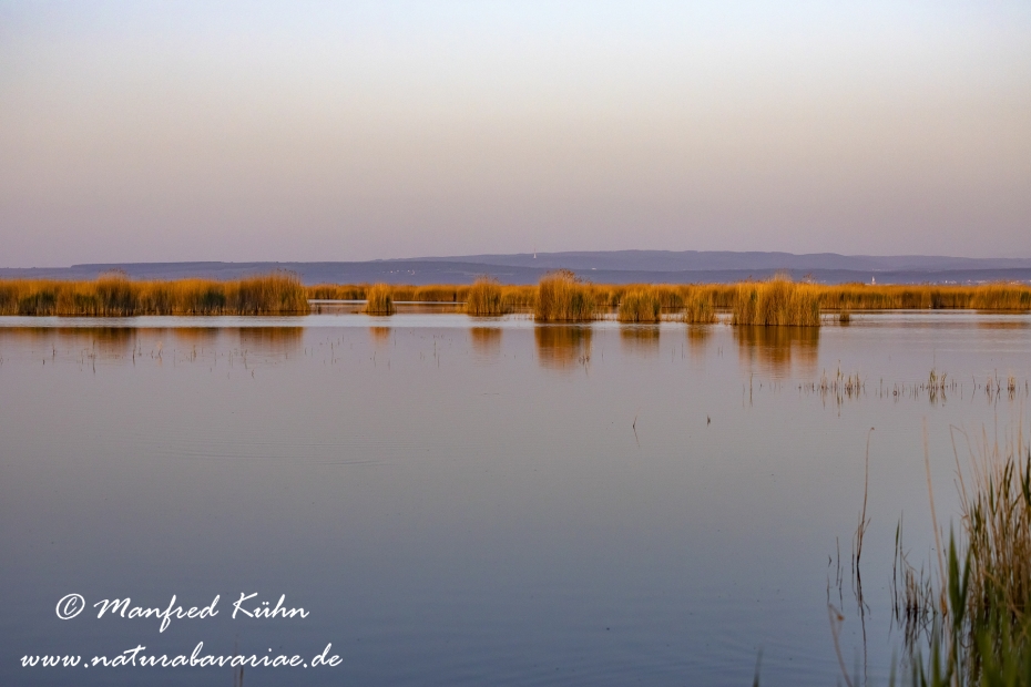 Neusiedler See (Österreich)_0057