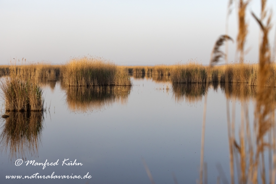 Neusiedler See (Österreich)_0061